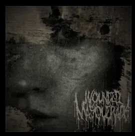 Wounded Masquerade : Vacant Skies